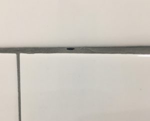 Shower Grout Pin Holes: Trademark Tiling
